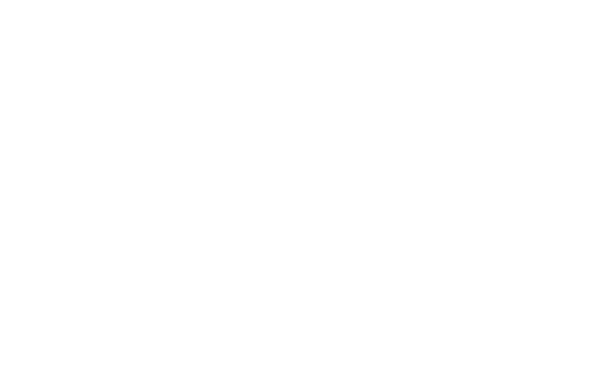 access one logo white