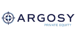 private equity IT services