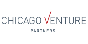 private equity IT services