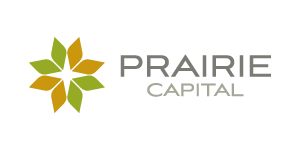 private equity IT services