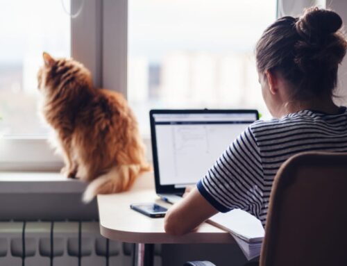 How Managed Services and Technology Help You Work From Anywhere
