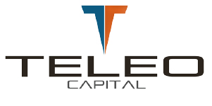 private equity IT services