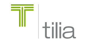 private equity IT services